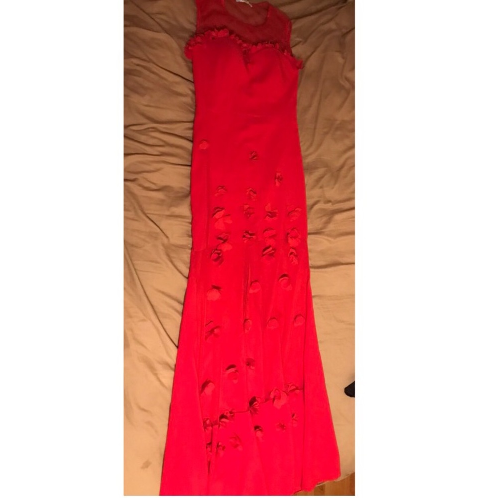 Elegant red dress